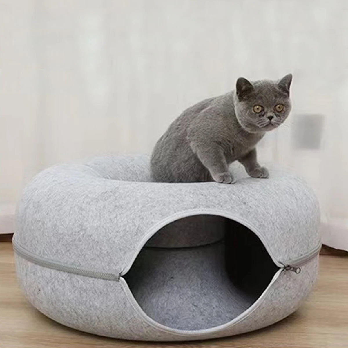 Nid tunnel rond 2-en-1 pour chat