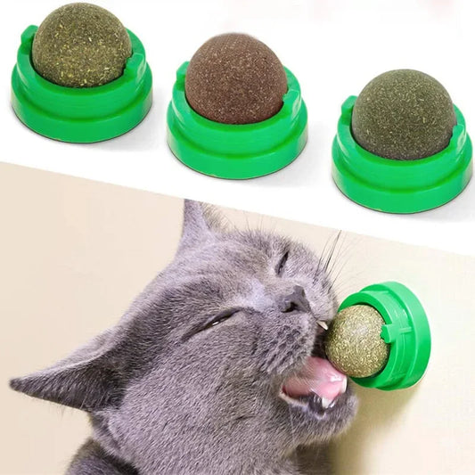 Boule d'herbe à chat murale autocollante