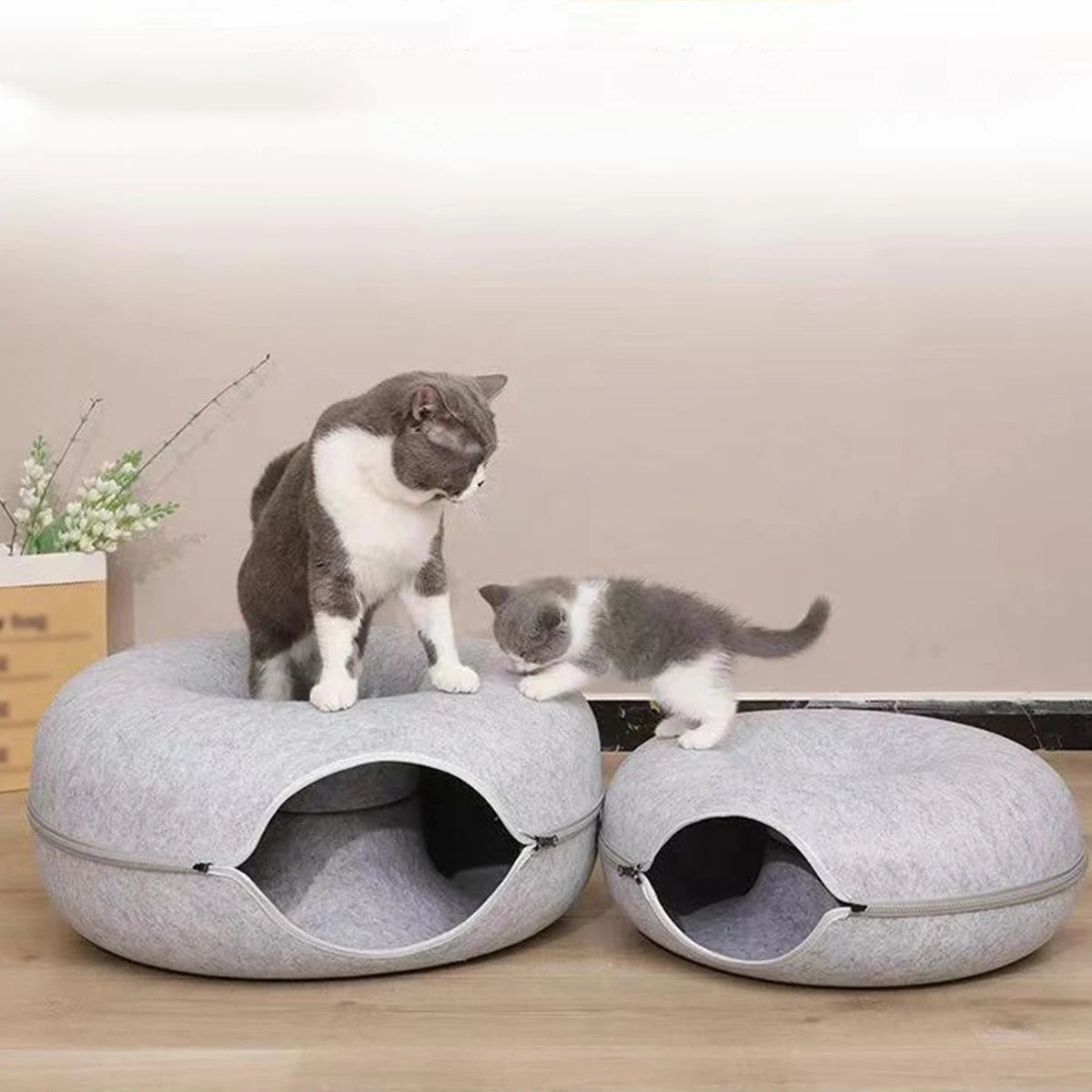 Nid tunnel rond 2-en-1 pour chat