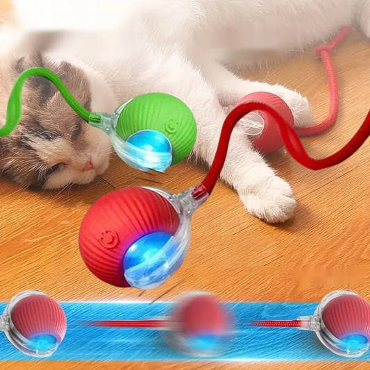 Boule teaser automatique pour chat